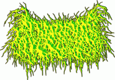 logo Coagulative Necrosis